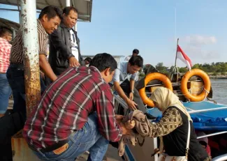 Pimpinan Bawaslu RI Nasrullah dan Endang Wihdatiningtyas tiba di pelabuhan laut Pulau Nunukan untuk melakukan pengawasan Pilpres di daerah perbatasan, Jumat (27/6) sekitar pukul  16.40 wit. Perjalanan dilakukan dari pelabuhan laut Tarakan selama sekitar 3 (tiga) jam dengan menggunakan speed boat berkapasitas 20 orang . Nampak Pimpinan Bawaslu RI Endang W dibantu Pimpinan Bawaslu Kaltim Saiful B dan Ketua Panwaslu Nunukan Abdul Kadir untuk turun dari speed boat.